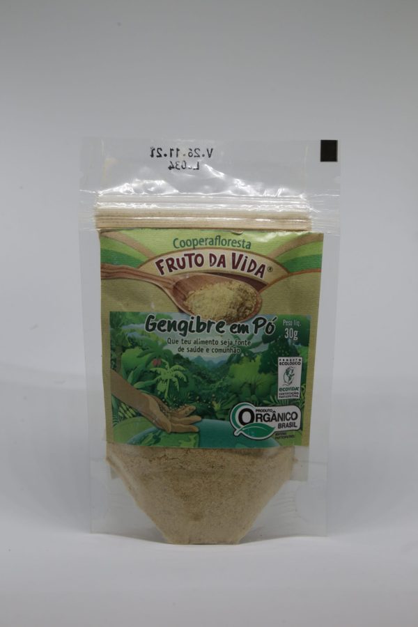 GENGIBRE EM PÓ ORGÂNICO 30G