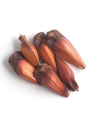 Pinhão 1kg - Coopercontestado