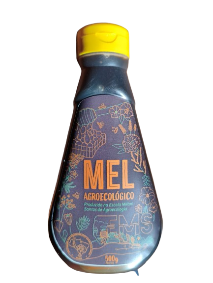 Mel Abelha Apis 500g - EMS