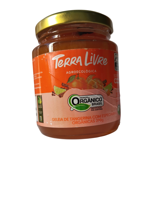 Geleia de Tangerina com Especiarias 290gr